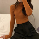 Long-sleeved winter tight-sleeved blouse for women - HABASH FASHION